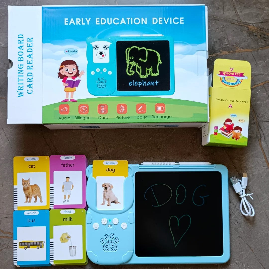 2 in 1 LCD + Flash Card reader