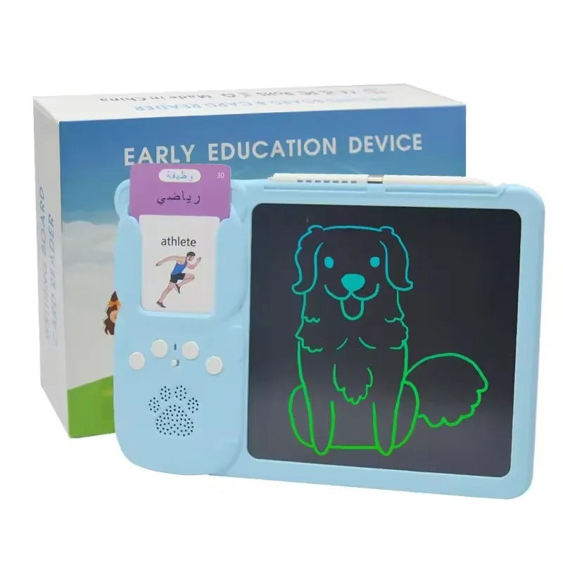2 in 1 LCD + Flash Card reader